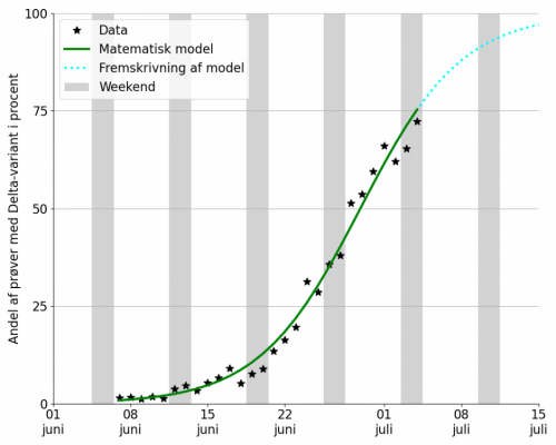 Figur 3: Data for delta-varianten i juni m?ned sammenlignet med den model der passer til udviklingen af data. 